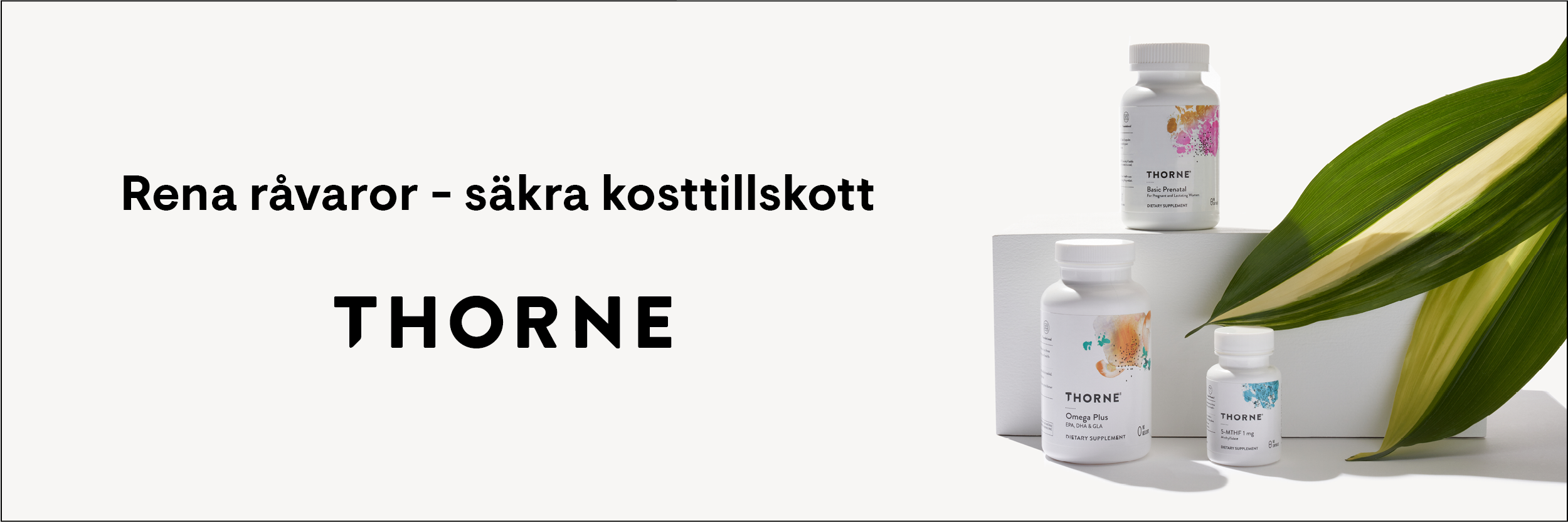Thorne Research Inc.